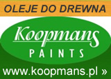 koopmans